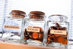 IVA Living Expenses Allowances